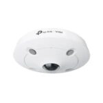 TP-Link VIGI InSight S655I Cámara De Seguridad